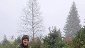 Wytnij, zabierz do domu. Choinkobranie 2025 trwa w Leśnictwie Dąbrowa