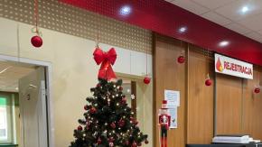 Choinka w podziękowaniu za cenny dar. Świąteczna akcja w opolskim RCKiK