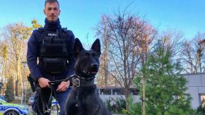 Posterunkowa Lara zakończyła szkolenie. Nowy pies patrolowo-tropiący w opolskiej Policji