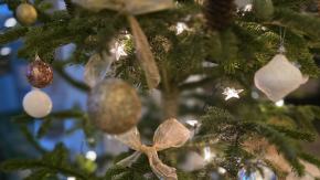 Drodzy Czytelnicy portalu 24opole.pl