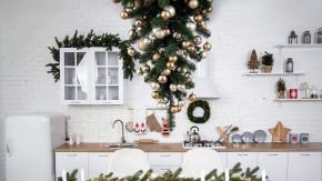 Zanim pojawiła się choinka. Podłaźniczka - zapomniany symbol świąt