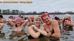 Dlaczego morsy wracają do lodowatej wody? Co tydzień ten sam rytuał, czy to nie nudzi?