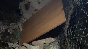 Spała na lodzie, nie miała gdzie się schować. TOZ Opole apeluje o pomoc dla Sisi WIDEO