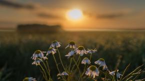Koniec La Nina. Czy czeka nas nagłe przejście do upalnego lata?