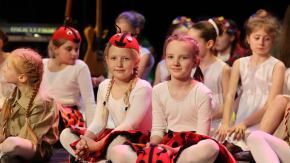 Zespół "Biedronki" świętował 45-lecie działalności