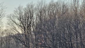 Zderzenie czeskiego pociągu z samochodem w Pokrzywnej