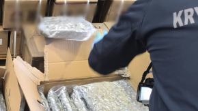 Policjanci zabezpieczyli marihuanę wartą 2,5 miliona złotych