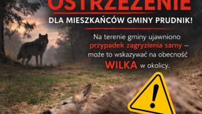 Ostrzeżenie w gminie Prudnik. Znaleziono zagryzioną sarnę, możliwa obecność wilka