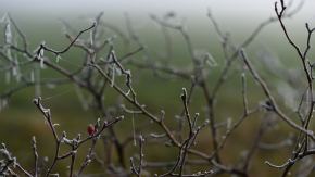 IMGW wydał ostrzeżenie dla Opolszczyzny
