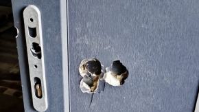 Zniszczyli drzwi, grozili i ukradli samochód, a przed Policją schowali się na strychu