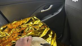 Nietypowa interwencja drogówki - łabędź uwięziony w ogrodzeniu