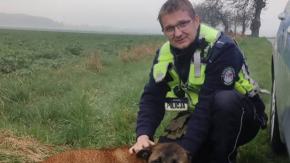 Policja prosi o pomoc w odnalezieniu właściciela