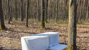 Las to nie składowisko AGD. Lodówka porzucona przy drodze