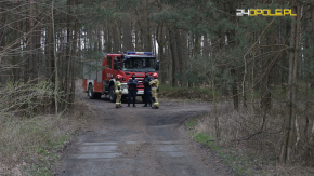 Dron odnaleziony w lesie pod Strzelcami Opolskimi. Sprawę bada Żandarmeria Wojskowa
