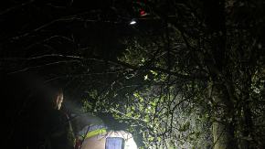 Kilkugodzinna akcja strażaków. Zwierzę utknęło pod ziemią