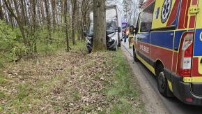 Bus uderzył w drzewo w Masowie. Kierowca trafił do szpitala
