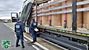 Kontrole przewozu materiałów niebezpiecznych w regionie. Wykryto nieprawidłowości