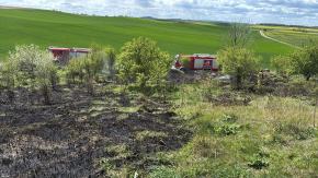 Pożar traw przy ul. Dolinskiej. Strażacy interweniowali w Strzelcach Opolskich