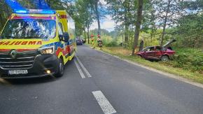 Pijany kierowca wypadł z drogi i uderzył w drzewo