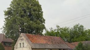 Samochód wypadł z drogi w Boguszycach. Utrudnienia na trasie Opole-Krapkowice