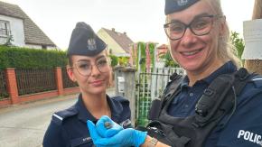 Ozimscy policjanci ruszyli na pomoc. Nietypowy "poszkodowany" nie mógł odlecieć