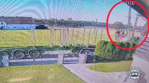  Uszkodził słup energetyczny i odjechał - policjanci szybko ustalili kierowcę ciężarówki