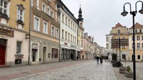 Weekend Seniora z Kulturą w Opolu. Warsztaty, spektakle i bezpłatne zwiedzanie