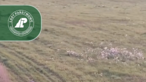 Wilki po blisko 100 latach wróciły na Opolszczyznę. Rozmowa z Jackiem Boczarem WIDEO