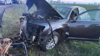 Poranne zdarzenie na DK 88. Samochód uderzył w drzewo, dwie osoby trafiły do szpitala