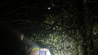 Kilkugodzinna akcja strażaków. Zwierzę utknęło pod ziemią