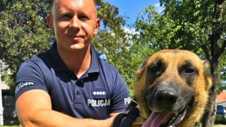 Policyjne psy rywalizowały w Krapkowicach. Wyłoniono reprezentantów Opolszczyzny