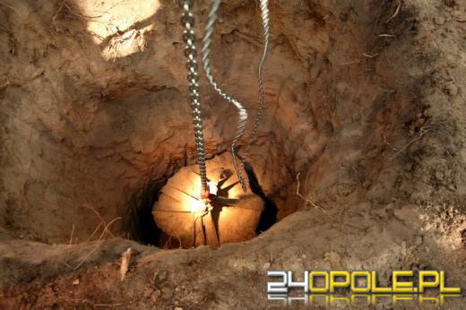 Opolanie znaleźli największy meteoryt w Polsce. Docenia to National Geographic.