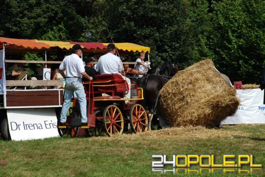 Gwiazdy zjechały do Zakrzowa