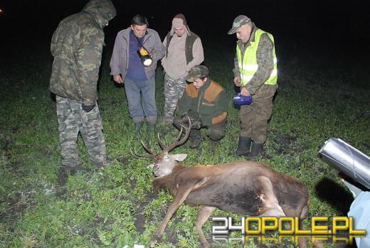 Pościg za kłusownikami