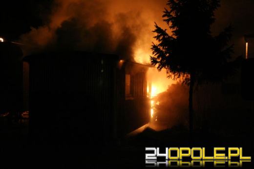 Podpalacz - maniak w rękach policji