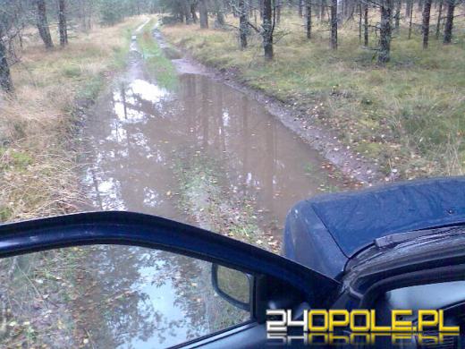 GPS wywiózł ich do lasu