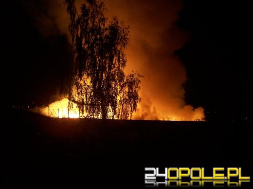 Pożar hali w Gotartowie