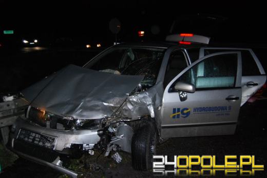 Seria groźnych wypadków na opolskich drogach
