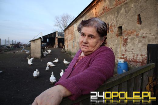 Sąsiedzki konflikt pod Lewinem Brzeskim