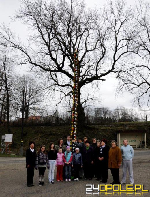 Dziś Niedziela Palmowa