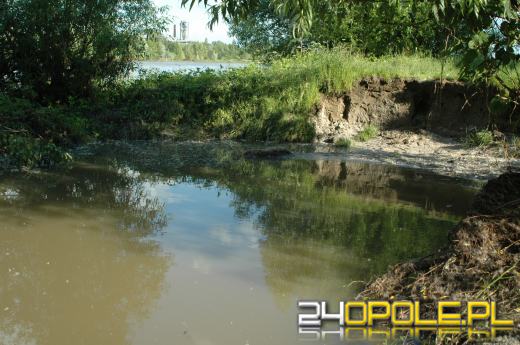 Woda znów zagraża obwodnicy Opola