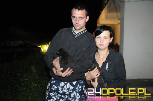 Wrzucił koty do ogniska chcąc się ich pozbyć