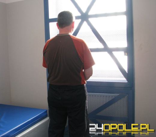 Ogromna plantacja marihuany zlikwidowana