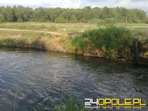 9 i 12-latek utonęli w Zdziechowicach