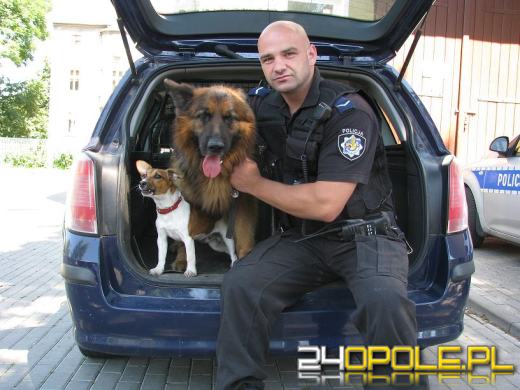 Policyjny pies wytropił złodzieja