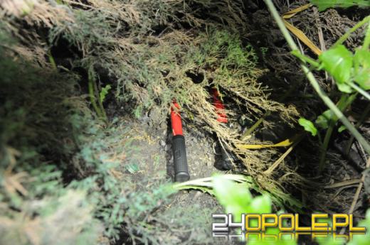 Włamywacz uciekł bez łupu