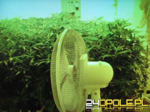 Wspólna akcja policji, CBŚ i ABW