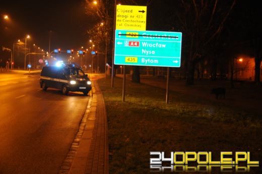 Nocna gonitwa za dzikiem w Opolu