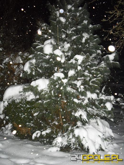 Zima w obiektywie internautów