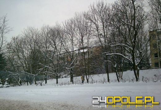 Zima w obiektywie internautów